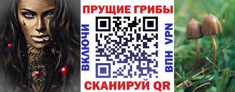 Галлюциногенные грибы прущие грибы  hydra   Ирбит 